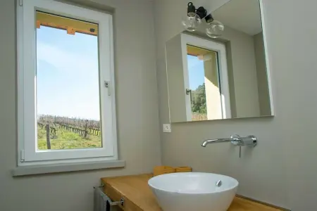 475841, Villa Bibbona avec piscine - Photo 23