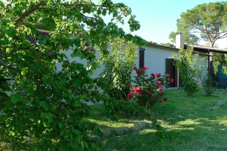 Maison de campagne rénovée avec jacuzzi, Scansano : photo 36