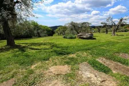 Maison toscane avec piscine privée à Roccatederighi : photo 33