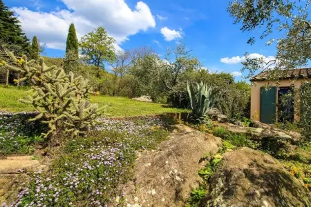 Maison toscane avec piscine privée à Roccatederighi : photo 35