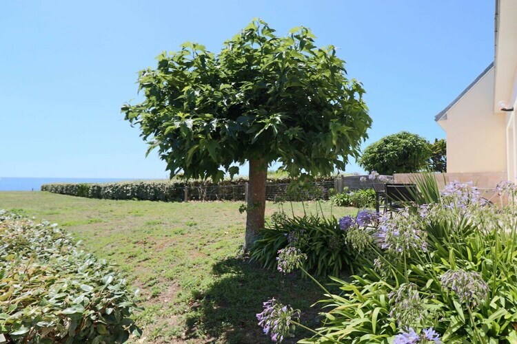 Maison bord de mer Plouhinec, vue baie d'Audierne - Photo 15