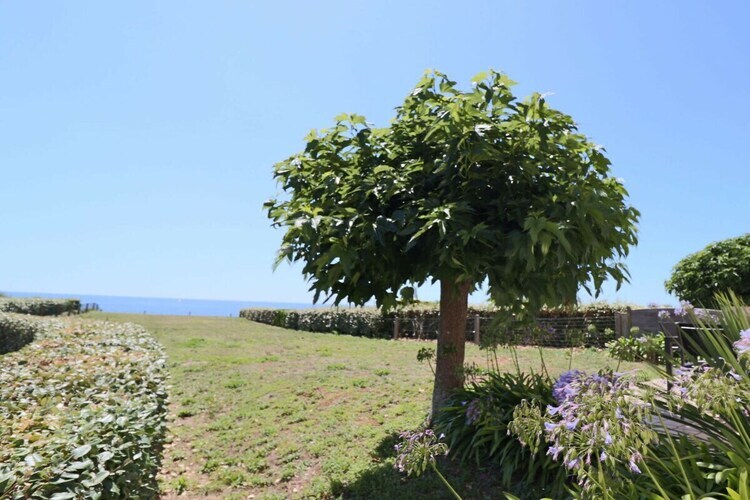 Maison bord de mer Plouhinec, vue baie d'Audierne - Photo 16