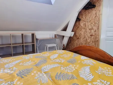 Gîte 8 pers. Sinceny : jardin, terrain de pétanque, clim : photo 18