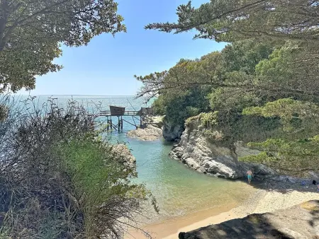 Les Sylphes – Apt 3p vue mer, piscine et plage : photo 5