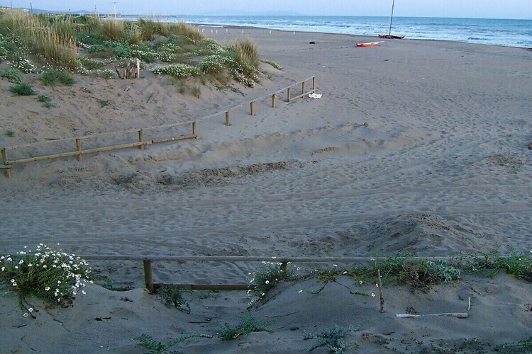 Maison Toscane 6 pers. à 400m de la plage - Photo 31