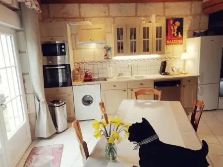 Maison tourangelle restaurée, jardin 700 m² - Luzillé : photo 6