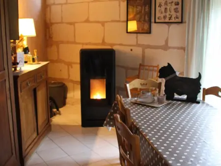 Maison tourangelle restaurée, jardin 700 m² - Luzillé : photo 7