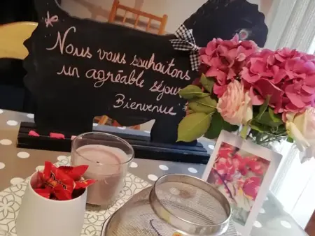 Maison tourangelle restaurée, jardin 700 m² - Luzillé : photo 8