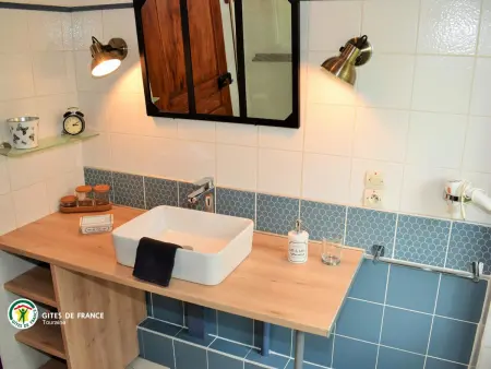 Maison tourangelle restaurée, jardin 700 m² - Luzillé : photo 18