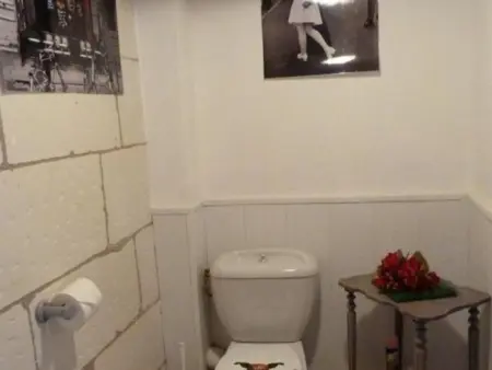 Maison tourangelle restaurée, jardin 700 m² - Luzillé : photo 21