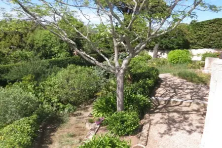 Villa 3 chambres, 800 m² de jardin à Sainte-Maxime : photo 7