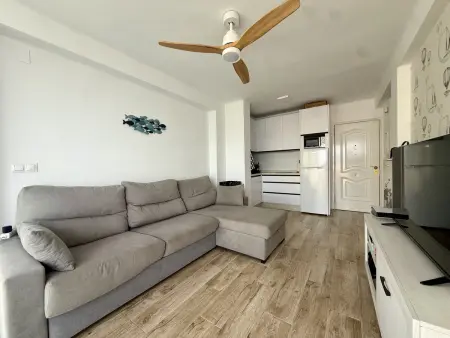 Appartement 1 chambre climatisé avec piscine à Algarrobo : photo 10
