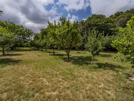 Villa 200 m² avec jardin et terrasse à Santa Maria da Feira : photo 9