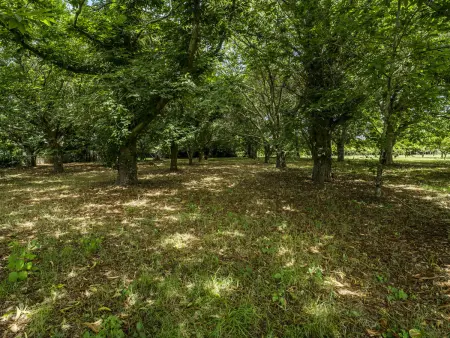 Villa 200 m² avec jardin et terrasse à Santa Maria da Feira : photo 16