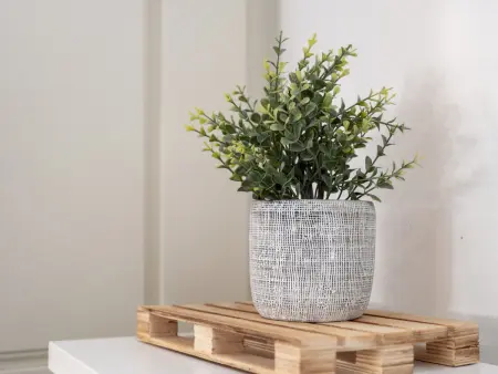 Studio moderne 25m² avec clim au cœur de Porto : photo 17
