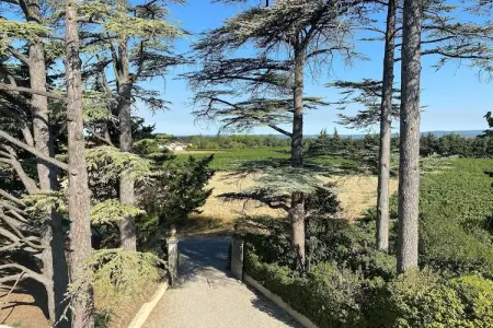 Maison 14 personnes à Valréas avec piscine et terrains de jeux : photo 30