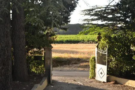 Maison 14 personnes à Valréas avec piscine et terrains de jeux : photo 31