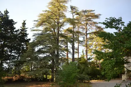 Maison 14 personnes à Valréas avec piscine et terrains de jeux : photo 32