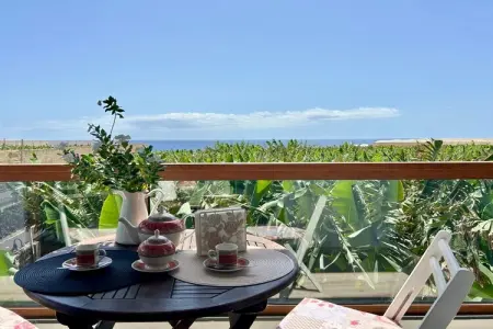 Los Jablitos I-II, maison avec vue volcan à Fuencaliente : photo 11