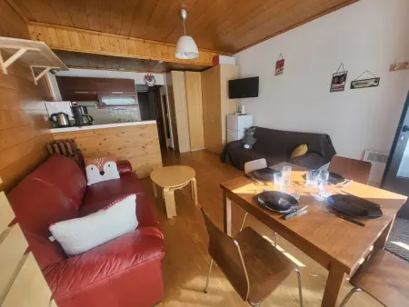 Studio 29 m² parking et casier à skis, animaux OK : photo 3