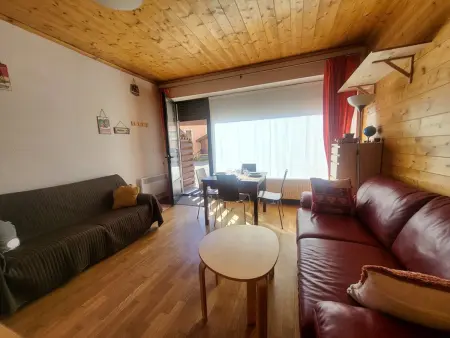 Studio 29 m² parking et casier à skis, animaux OK : photo 6