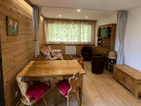 Appartement 45m² centre Châtel, 20m télécabine : photo 4