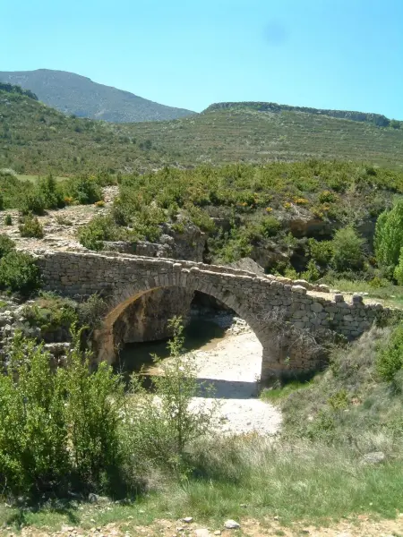 Grande maison de campagne à Paúles de Sarsa, 22 pers., piscine partagée : photo 44