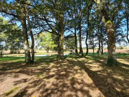 Gîte 8 pers. Berry avec étang privé et parc animalier : photo 7