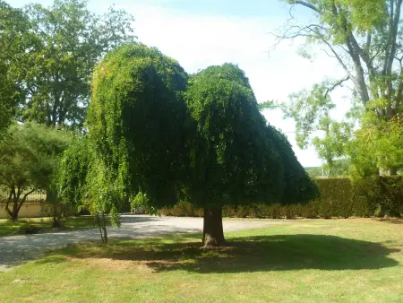 Gîte 8 pers. Berry avec étang privé et parc animalier : photo 14