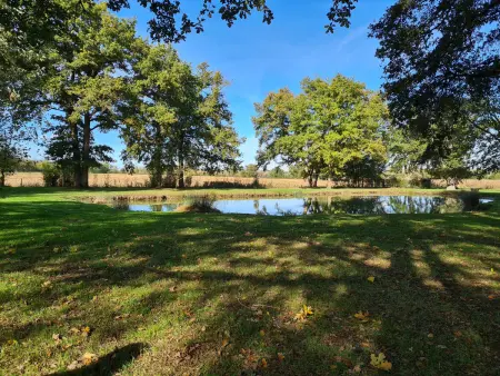Gîte 8 pers. Berry avec étang privé et parc animalier : photo 16