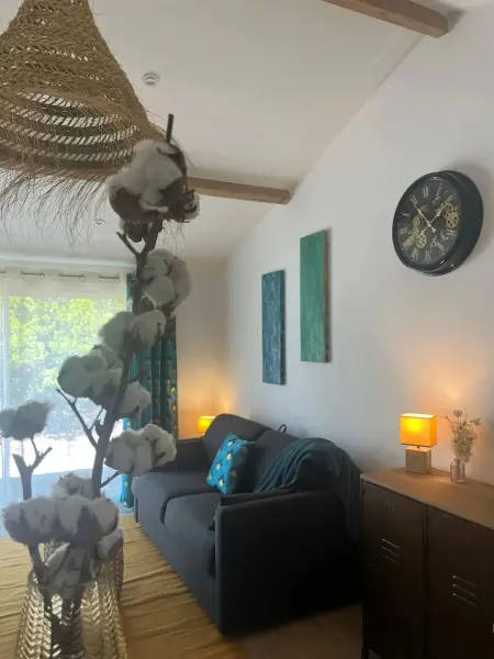 Studio 4 étoiles avec jacuzzi privé à Sore, 30 m² : photo 13