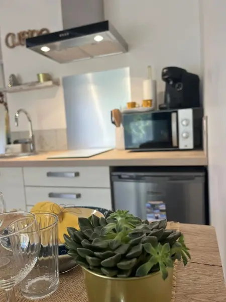 Studio 4 étoiles avec jacuzzi privé à Sore, 30 m² : photo 14