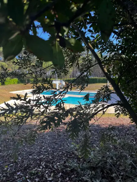 Studio 4 étoiles avec jacuzzi privé à Sore, 30 m² : photo 15