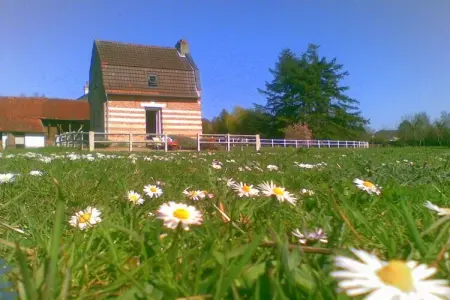 Maison picarde XVIIIème au bord de la Somme : photo 9