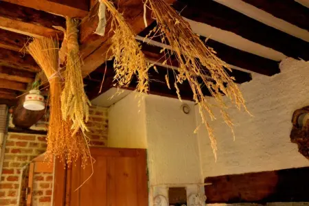 Maison picarde XVIIIème au bord de la Somme : photo 28