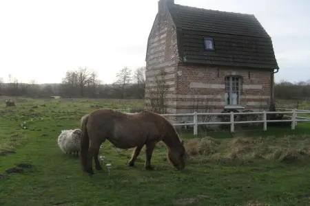 Maison picarde XVIIIème au bord de la Somme : photo 30