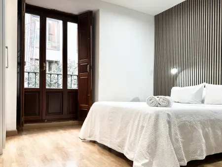 Appartement 45 m² Gran Vía, 2 chambres, 4 personnes : photo 4