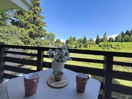 Studio 25m² vue Mont-Blanc, pied des pistes : photo 6