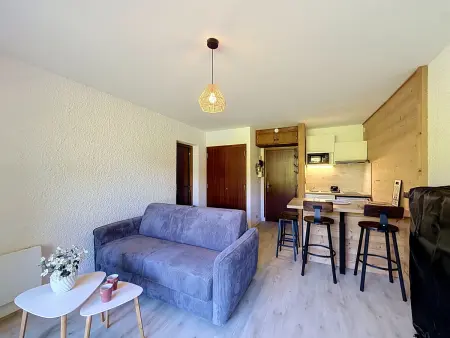 Studio 25m² vue Mont-Blanc, pied des pistes : photo 10