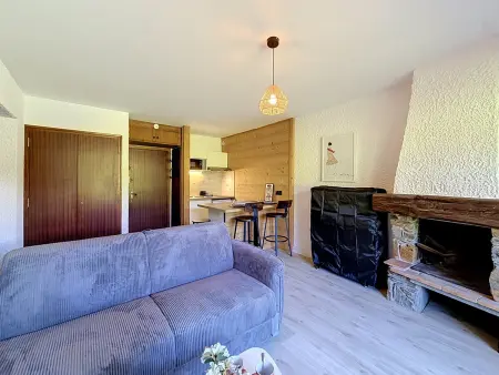 Studio 25m² vue Mont-Blanc, pied des pistes : photo 11