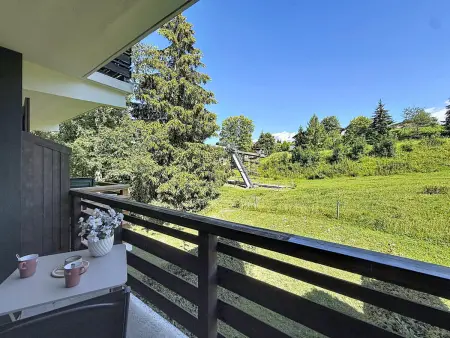 Studio 25m² vue Mont-Blanc, pied des pistes : photo 15