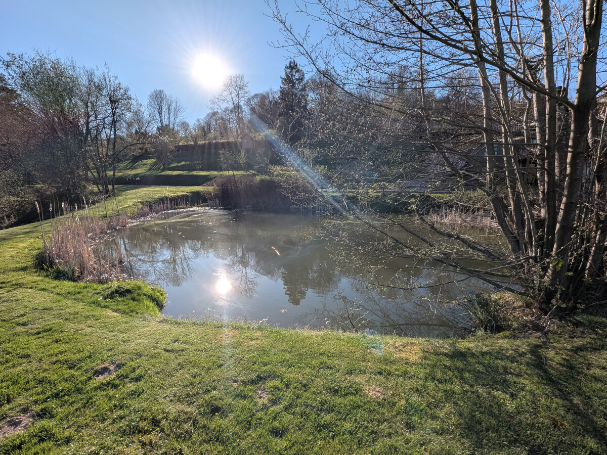 Gîte des Fées : déconnexion totale aux Vosges - Photo 36