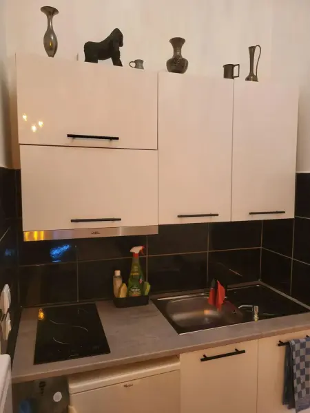 Appartement 34 m² avec jardin clos à Les Sorinières : photo 12
