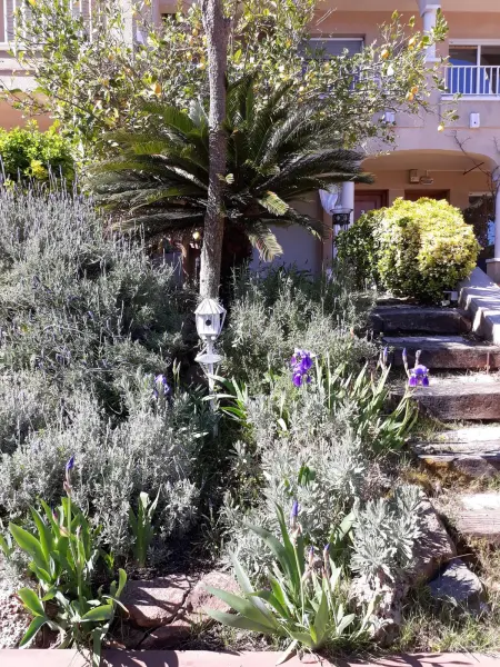 Appartement 3 chambres vue mer à Sant Feliu de Guíxols, 75 m² : photo 17