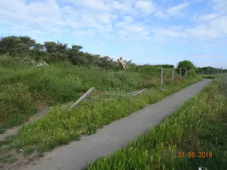 Ein Bungalow in einem Ferienpark, ganz in der Nähe vom Meer - Photo 23
