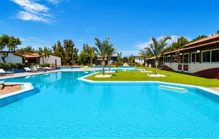 Maison 2 chambres avec piscine à Nicotera Marina : photo 14