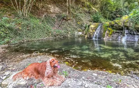 Maison pierre Toscane avec piscine et rivière : photo 30