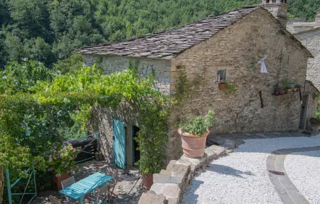 Maison pierre et poutres en Toscane, piscine & nature : photo 6