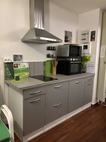 Studio 32 m² avec terrasse et vue montagne à Amélie-les-Bains : photo 2