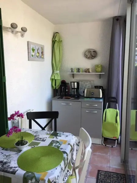 Studio 32 m² avec terrasse et vue montagne à Amélie-les-Bains : photo 3